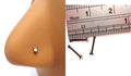 3 Black Titanium 1.5mm CZ Clear Crystal Nose Bones Straight Pins Ball 22 gauge - I Love My Piercings!