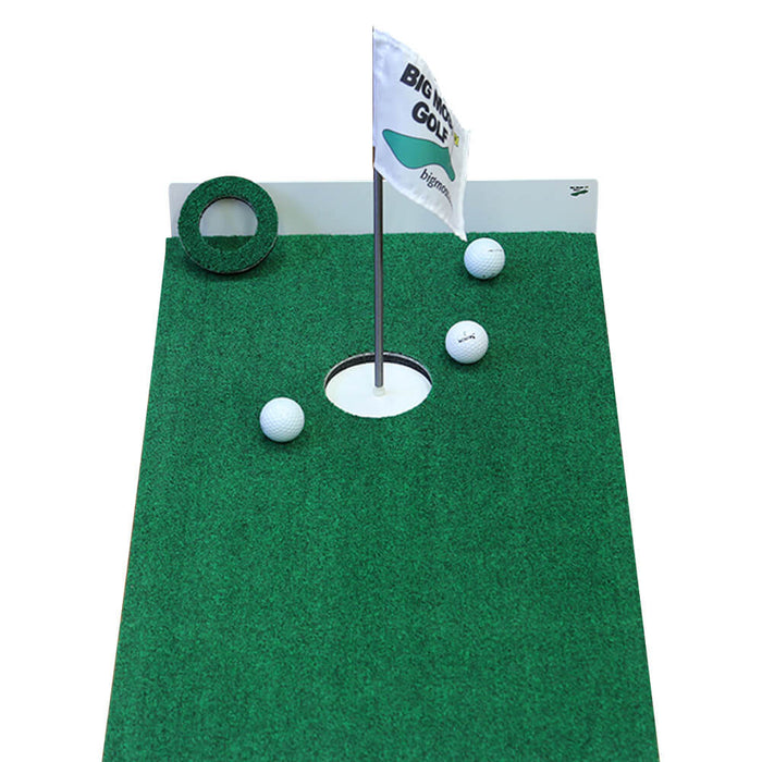 Big Moss Office Fit 8 Putting Green