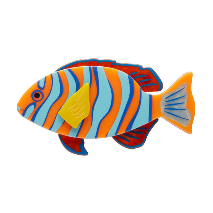 Erstwilder Harlequin Tuskfish Brooch with Gift Box  ~Great Barrier Reef Collection~
