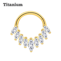 Iris Titanium Hinged Hoop