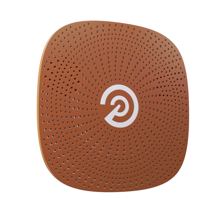 Brown P Logo