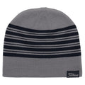 Titleist Lifestyle Golf Beanie Gray/Navy - 23 Men